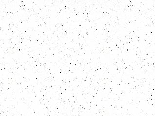 K217_White Andromeda_v2.jpg
