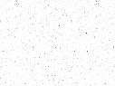 K217_White Andromeda_v2.jpg