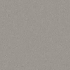 Blat kuchenny Platynowy Dysk K523 PE