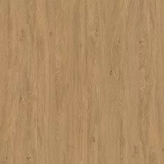 5527.webp
