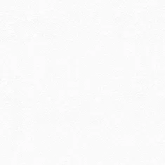 8685.webp