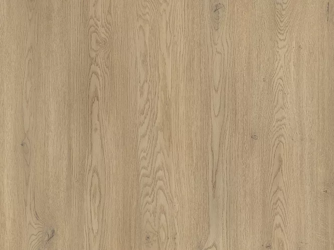 Płyta meblowa laminowana Dab Cremona Torro 2738 PW